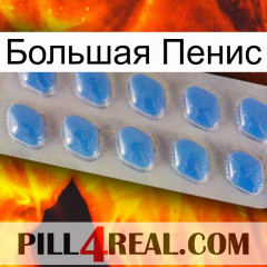 Большая Пенис 22